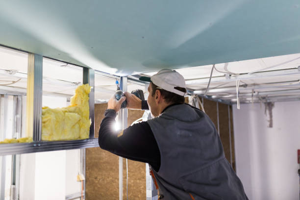 Best Specialty Insulation in Tarpon Springs, FL