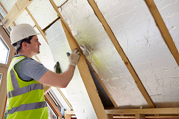 Best Insulation Maintenance and Repair in Tarpon Springs, FL